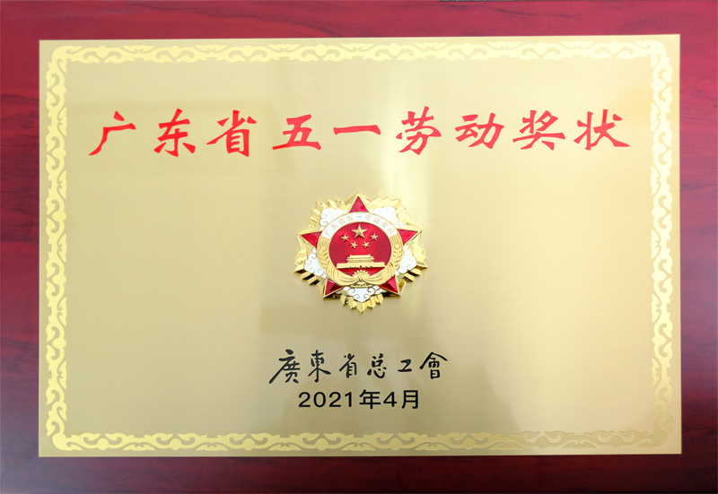 1624897474622239.jpg 6.jpg